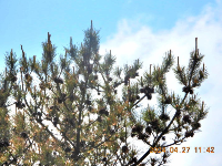 3ba5b382-feae-4017-b23a-d1fcd216325e