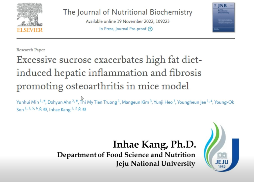 Excessive sucrose 논문 그래픽 이미지.jpg