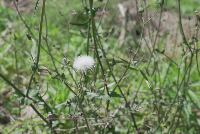 44b10916-51a5-4b25-9e67-d8ad08c7a11b