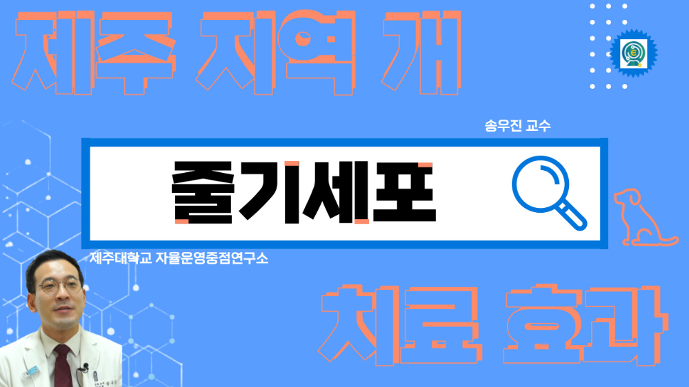 송우진교수님썸네일.jpg