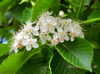 b32881c3-cf84-4c9b-a560-6b53694e2bb8
