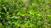 d53153f1-3e37-4d8d-ae32-dc7026ea87fa